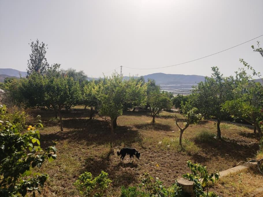 San Roque  Encantadora Casa Rural Con Gran Porche מראה חיצוני תמונה
